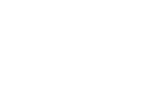 Liam's WIsh logo in white